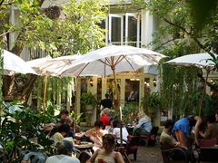 -Fern Forest Cafe