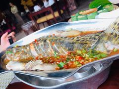 青柠汁蒸桂鱼-食肆&Fourteen(武林夜市店)