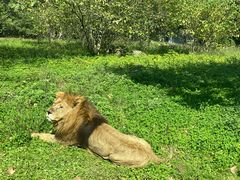 -西安秦岭野生动物园