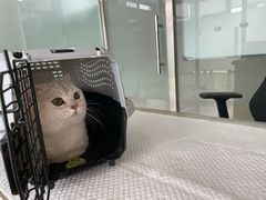 -宠颐生·恒爱宠物医院(静海店)