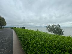 -深圳湾公园(南山区)