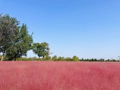 -汉长安城未央宫国家考古遗址公园