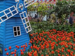 -南宫五洲植物乐园