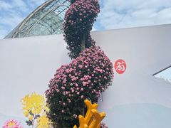 -南山植物园