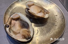 Charcoal-Grilled Swan Egg Clam