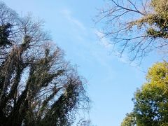 -南京市江宁方山