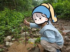 -火炉山森林公园