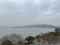 -杭州君悦酒店