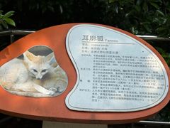 -杭州少年儿童公园