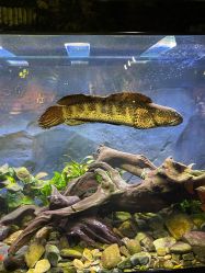 -Zoolung Zoolung动物主题公园(海信广场店)