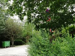 -三圣花乡旅游区