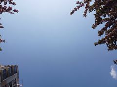 -世博家园八街坊