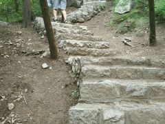 -原山国家森林公园