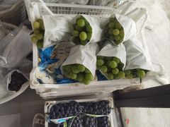 -马陆小张葡萄园农家乐