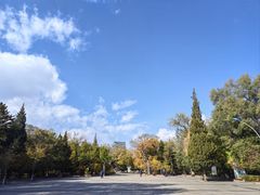 -青城公园