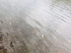-三岔湖景区