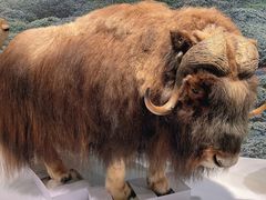 -中国湿地博物馆