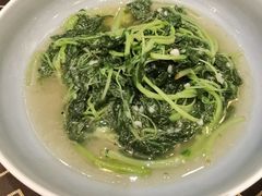 -上海安亭别墅花园酒店