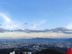 -长虫山生态公园风景林