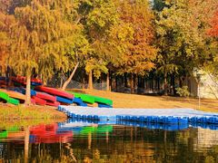 -上海长兴岛郊野公园