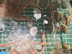 -乔家小院•本地小海鲜•非遗驴肉(万年泉路店)