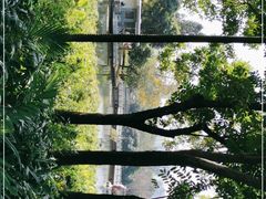 -荔枝公园(福田区)