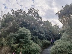 -宝界山林公园