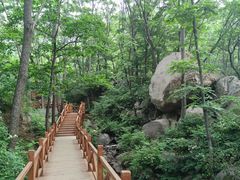 -大岭沟猕猴桃谷风景区