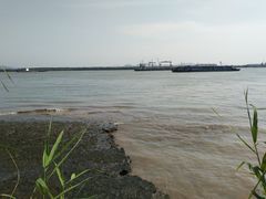 -扬子江公园