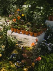 -美薇亭婚礼顾问