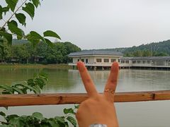 -殷姐糯米包油条