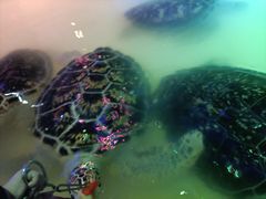 -华夏文旅西安度假区