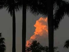 -一心一味(向西店)