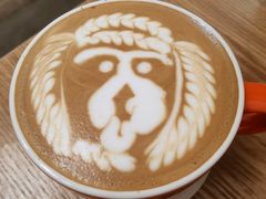 -SAFARI COFFEE