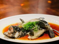 老虎斑-香樟花园新粤料理(无锡万象城店)
