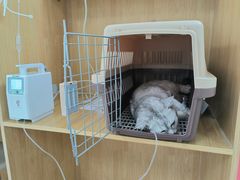-美联众合动物医院·24h京西诊疗中心