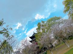-堤角公园