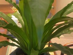 -阿伟海鲜楼·福建菜(涵江店)