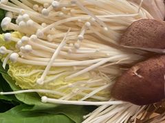-同仁四季椰子鸡(无锡滨湖万象汇店)