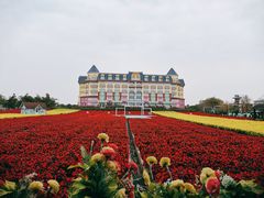 -百万葵园
