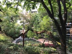 -香港大学