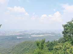 -紫金山山顶公园