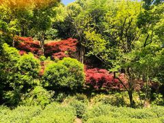 -北仑森林植物园