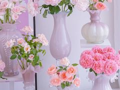 -亭亭鲜花店(中山北路店)