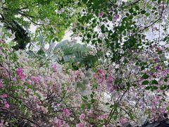 -深圳国际园林花卉博览园