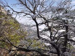 -尧山风景区