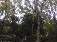-普陀山风景区-佛顶山