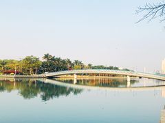 -白鹭洲公园