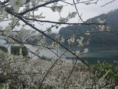 -广州市流溪河国家森林公园