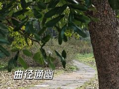 -中国科学院华南植物园